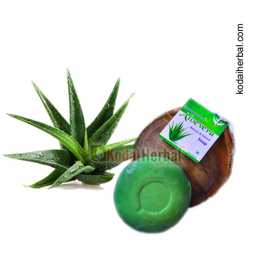 Raw Aloe Vera Soap / Natural Soap 